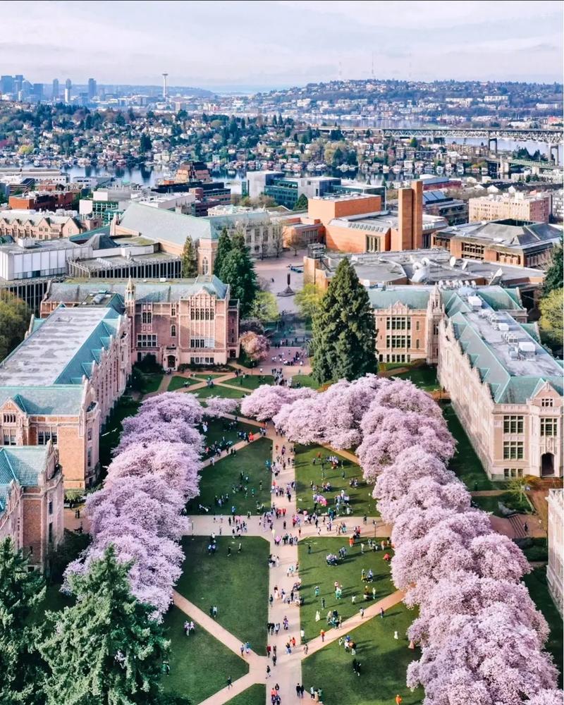 路德大学